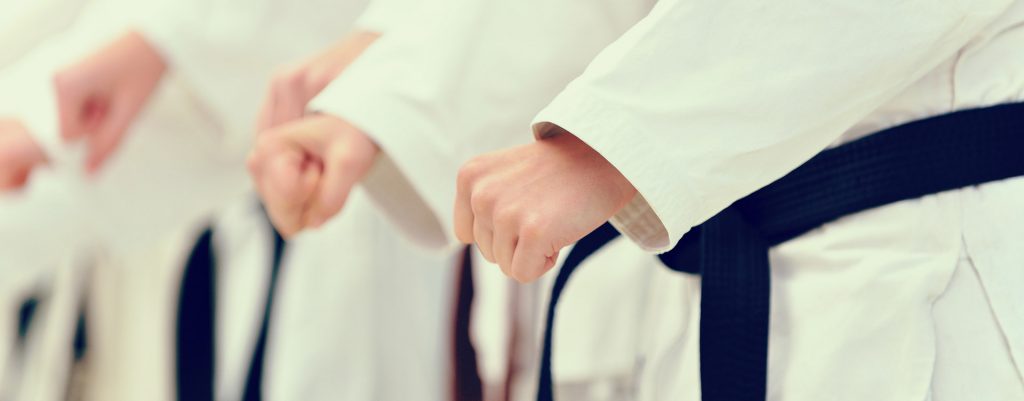 Logo Karate